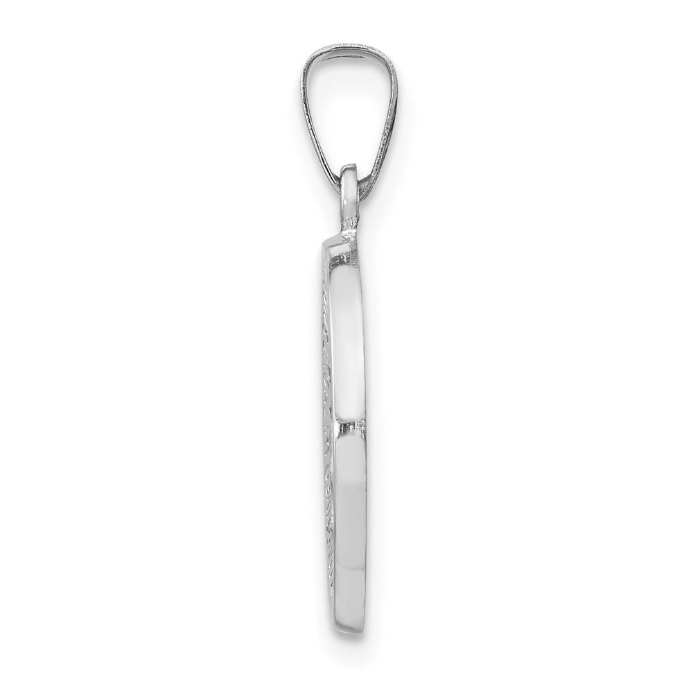14k White Gold Polished / Satin Virgin Mary Medal Hollow Pendant