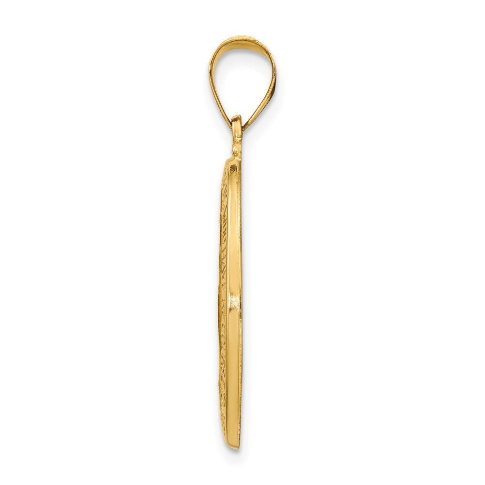 14k Polished and Satin Virgin Mary Medal Hollow Pendant
