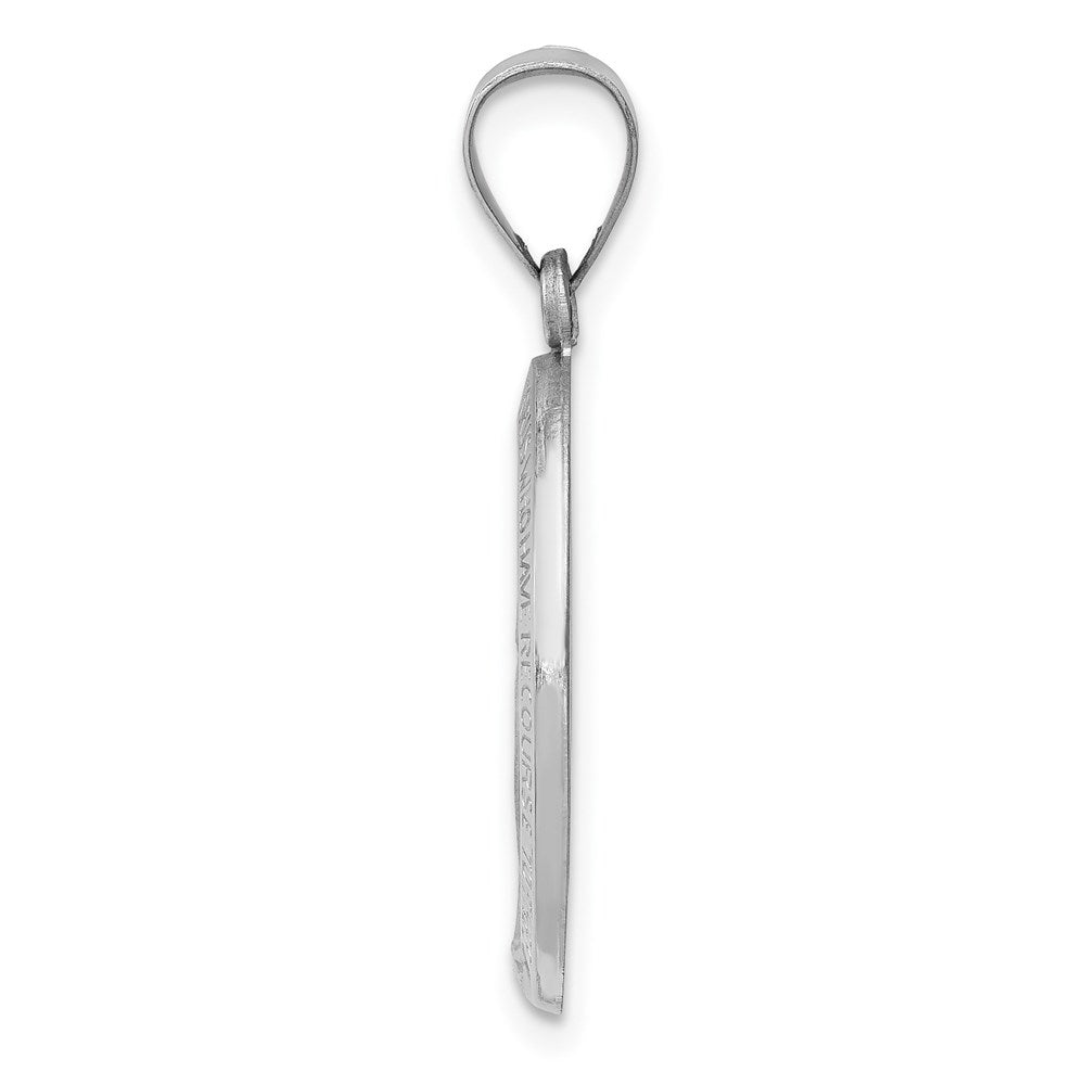 14k White Gold Polished / Satin Virgin Mary Medal Hollow Pendant