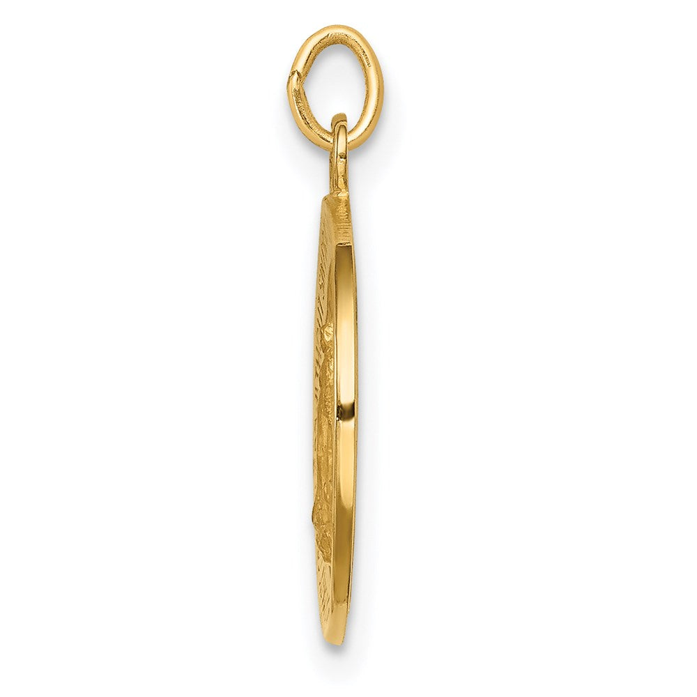 14k Solid Polished/Satin Round Virgin Mary Medal
