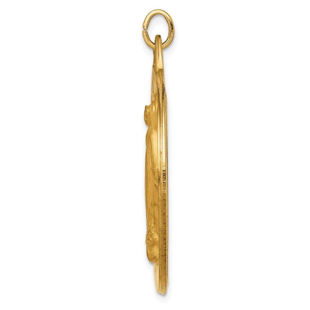 14k Solid Polished/Satin Large Round Virgin Mary Medal