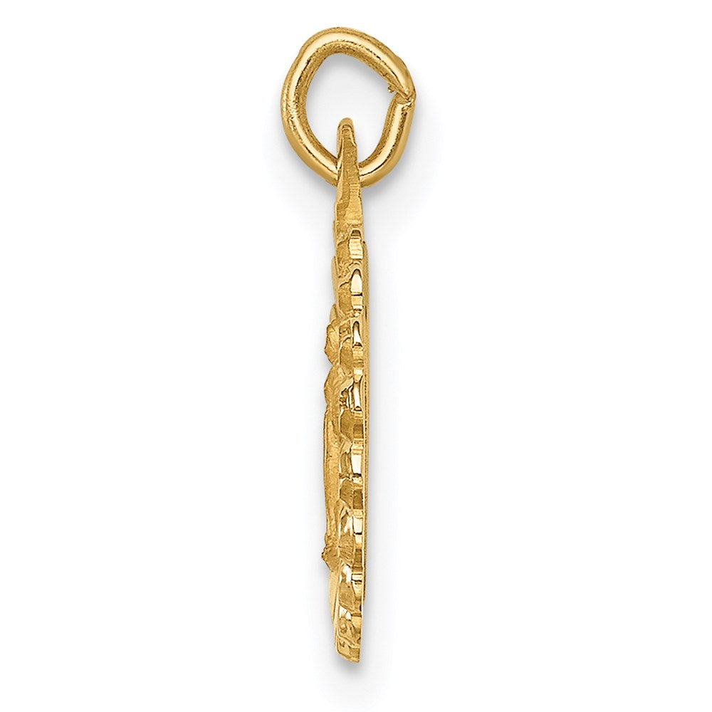 14k Solid Polished/Satin Tiny Round Scalloped Virgin Mary Medal
