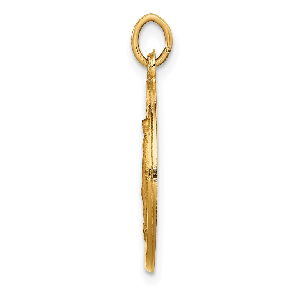 14k Solid Polished/Satin Small Round Virgin Mary Medal
