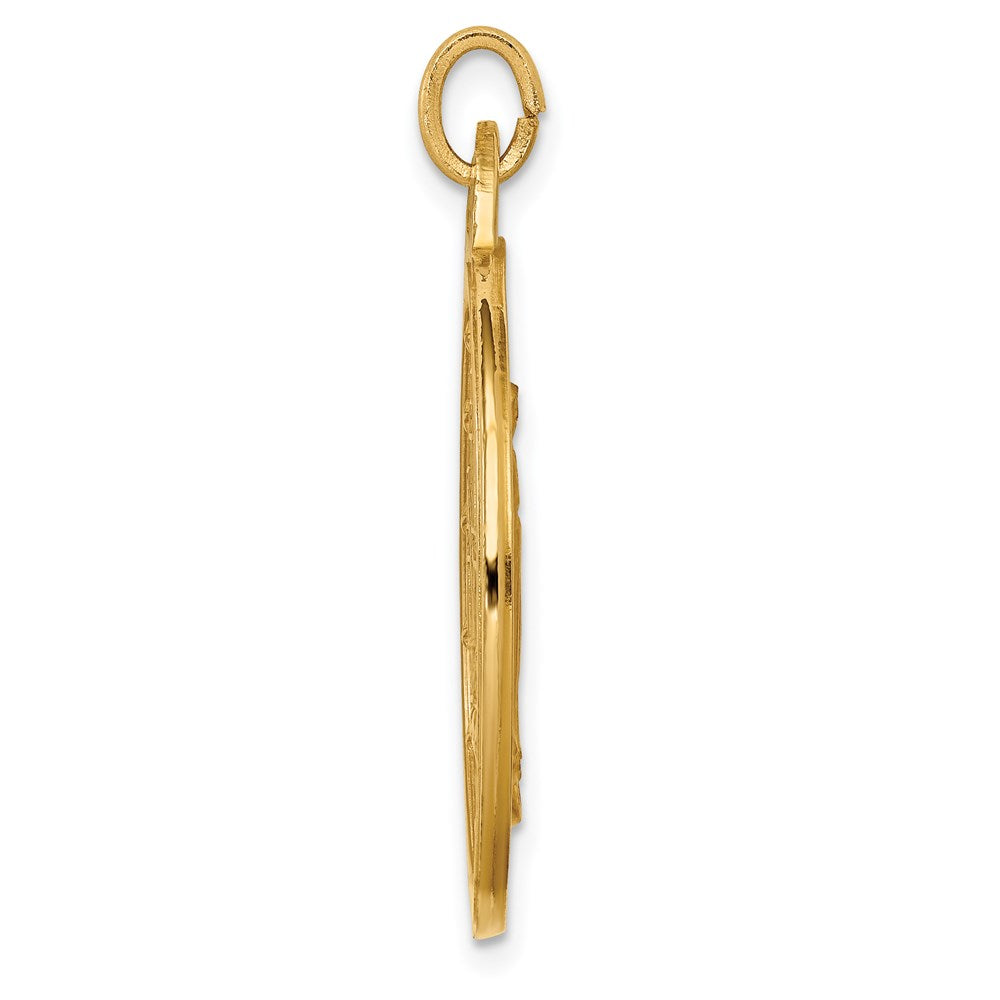 14k Solid Polished/Satin Extra Large Round Virgin Mary Medal