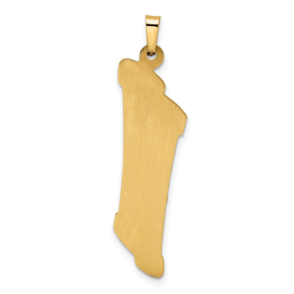 14k Two-tone Hollow Mezuzah and Star Pendant