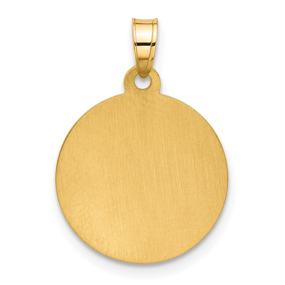 14K and White Rhodium Hollow Virgin Mary Mary Plain Back Medal