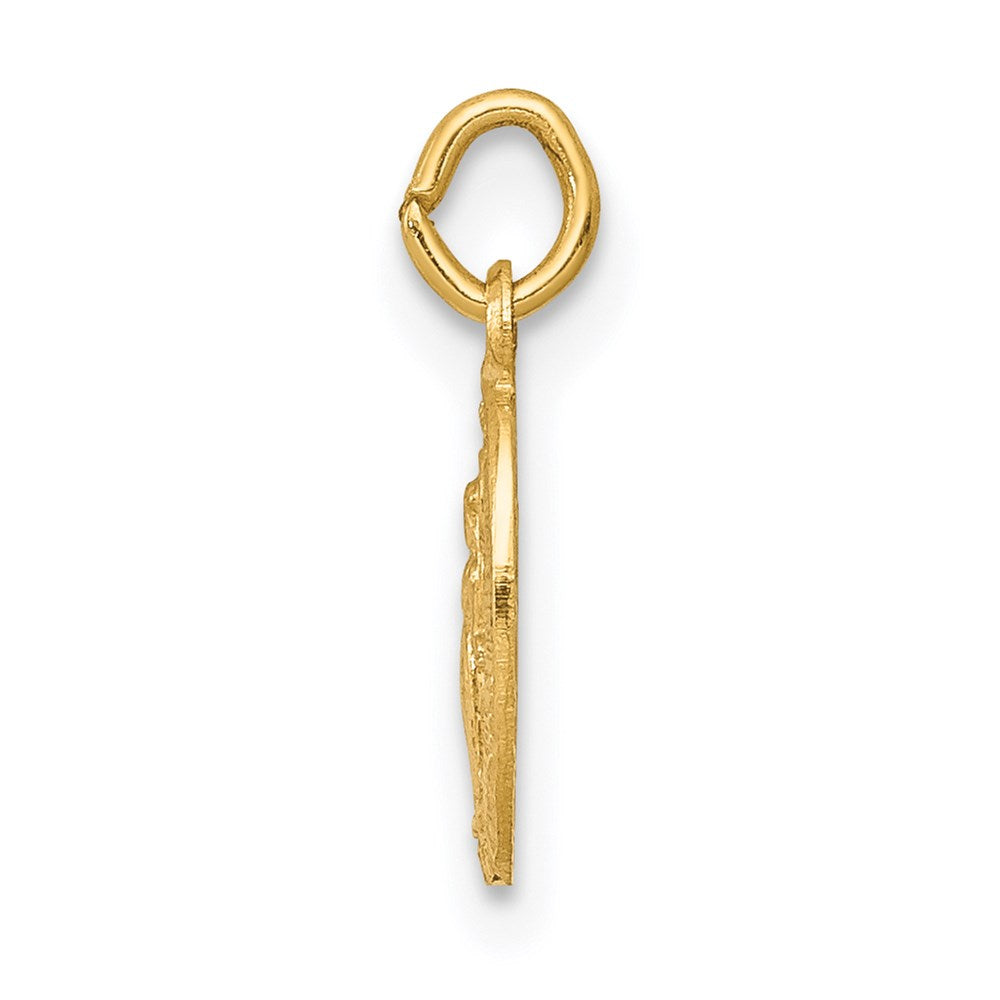 14k Virgin Mary Medal Charm
