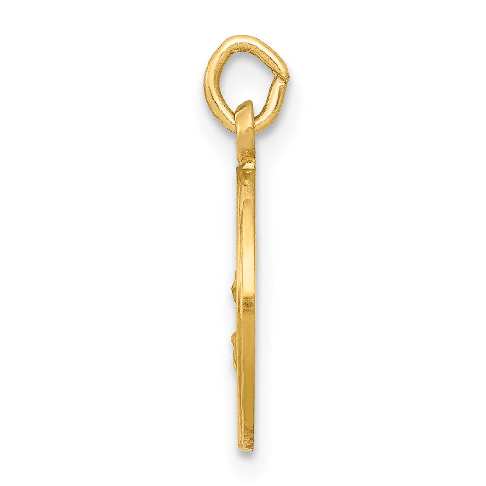 14k Our Of The Assumption Medal Charm