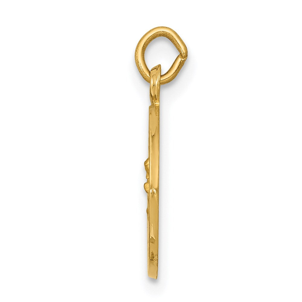 14k Our of Perpetual Help Medal Charm