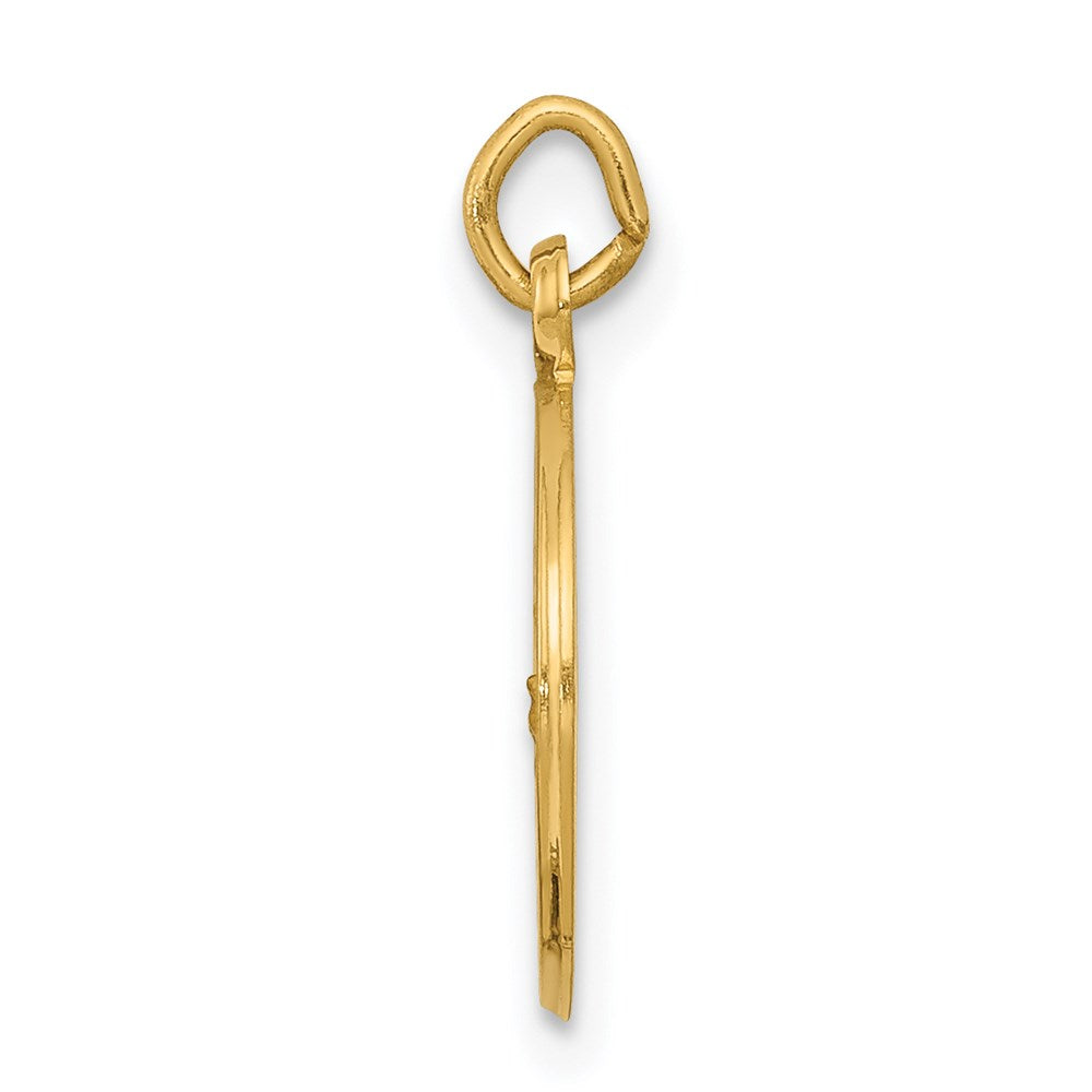 14k Our of Lourdes Medal Charm