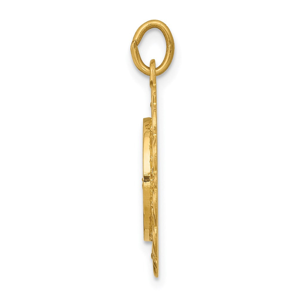 14k Our of Lourdes Medal Pendant