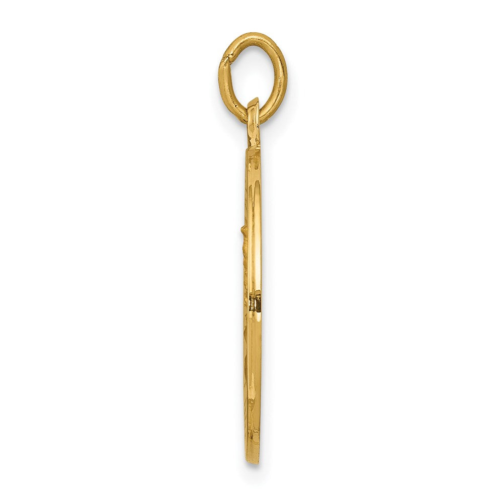 14k Our of Mt. Carmel Medal Charm