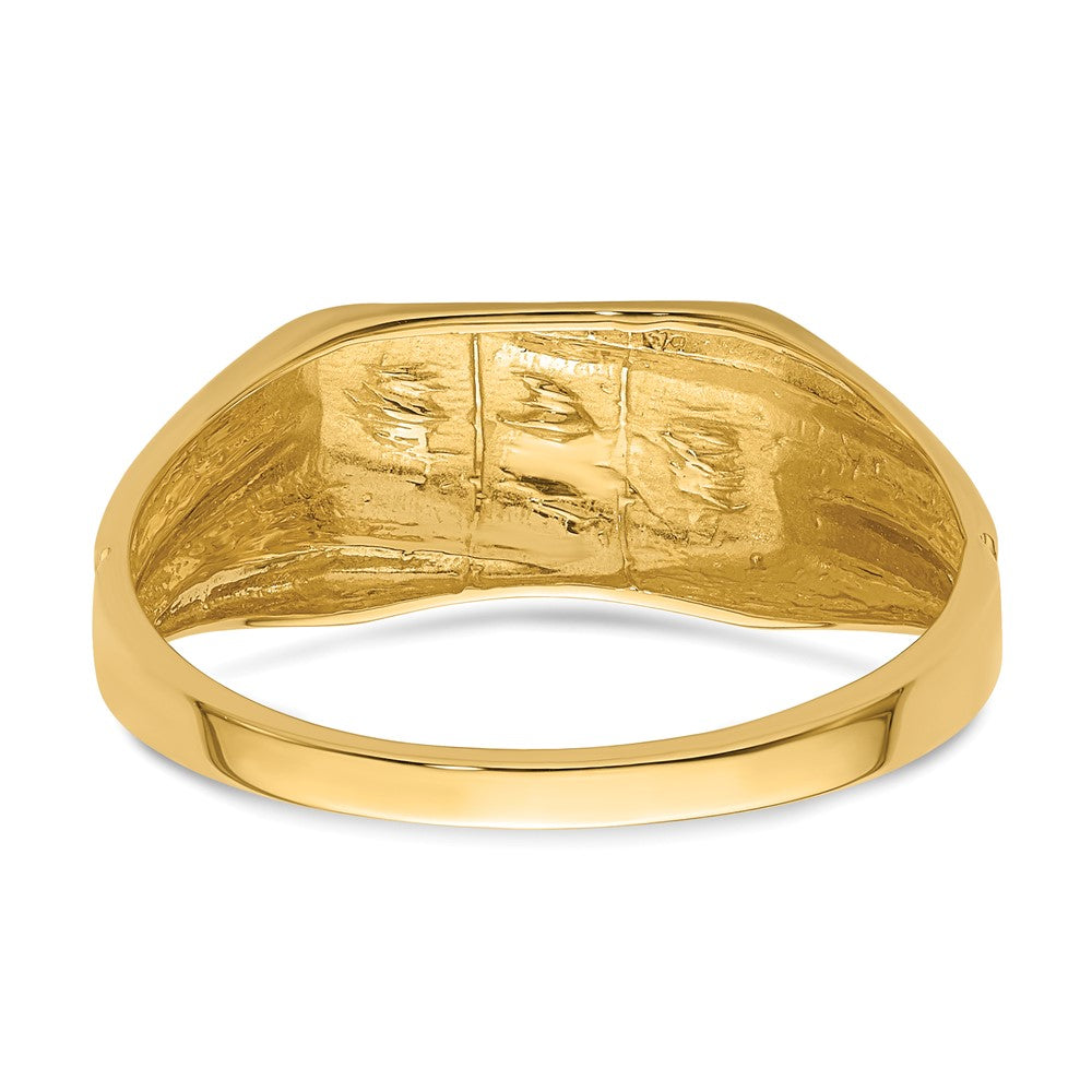 14k AAA Diamond men's ring