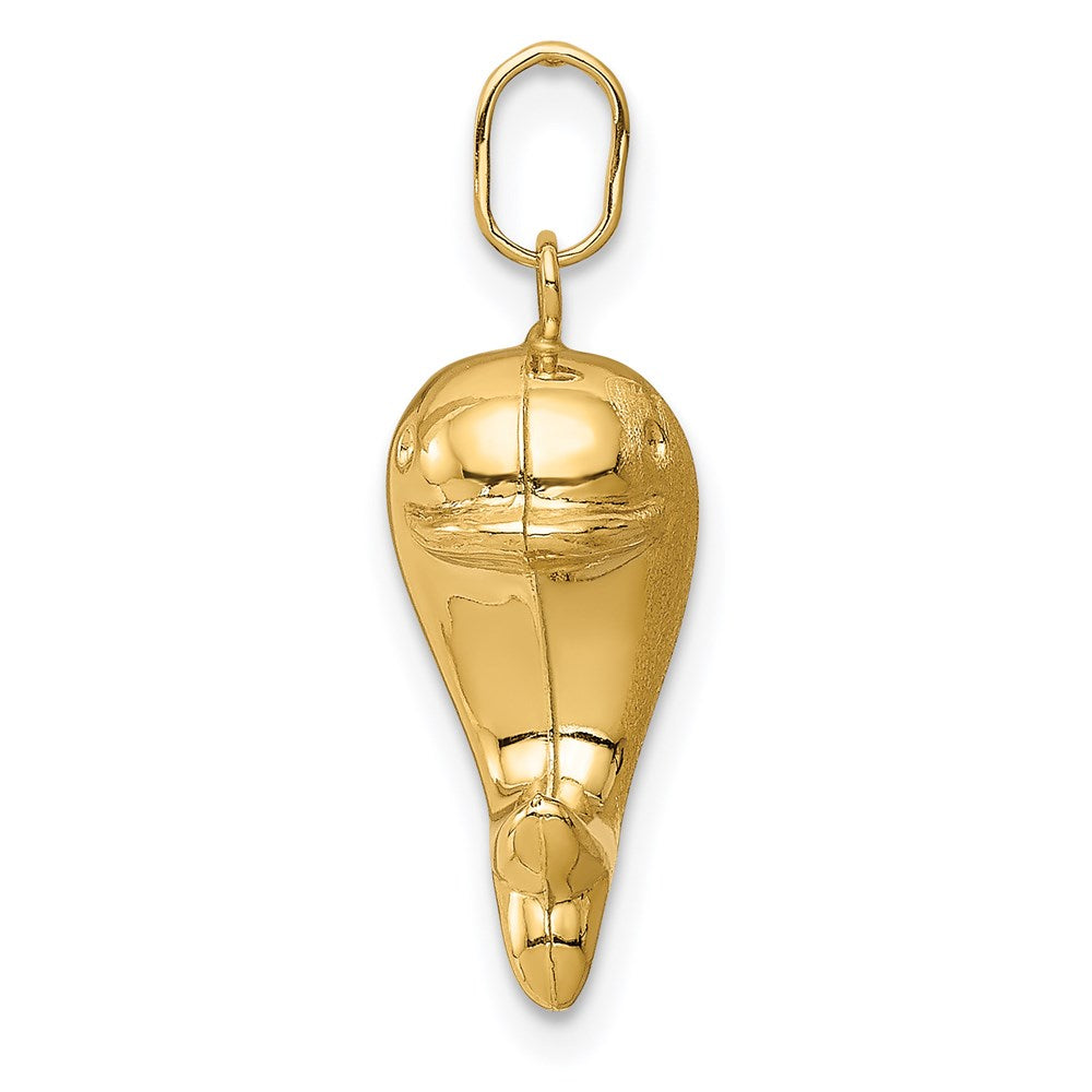 14k Hollow Satin & Polished Fish Charm